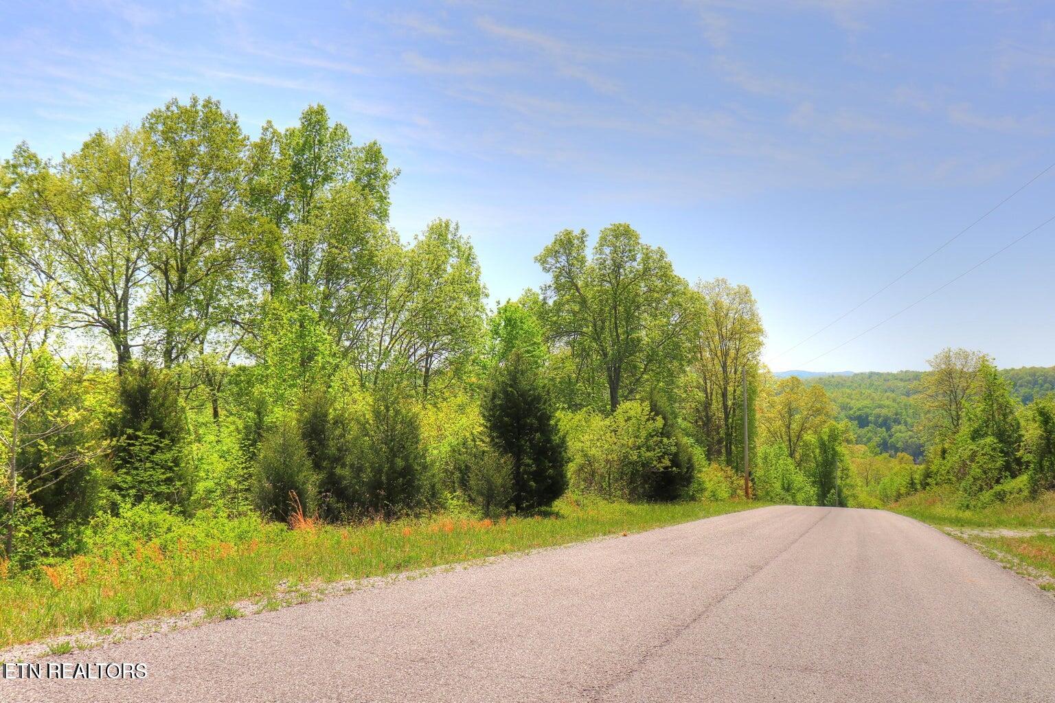 Lot 172 Saddle Ridge Drive Speedwell, TN 37870 - Photo 6 of 10 street view