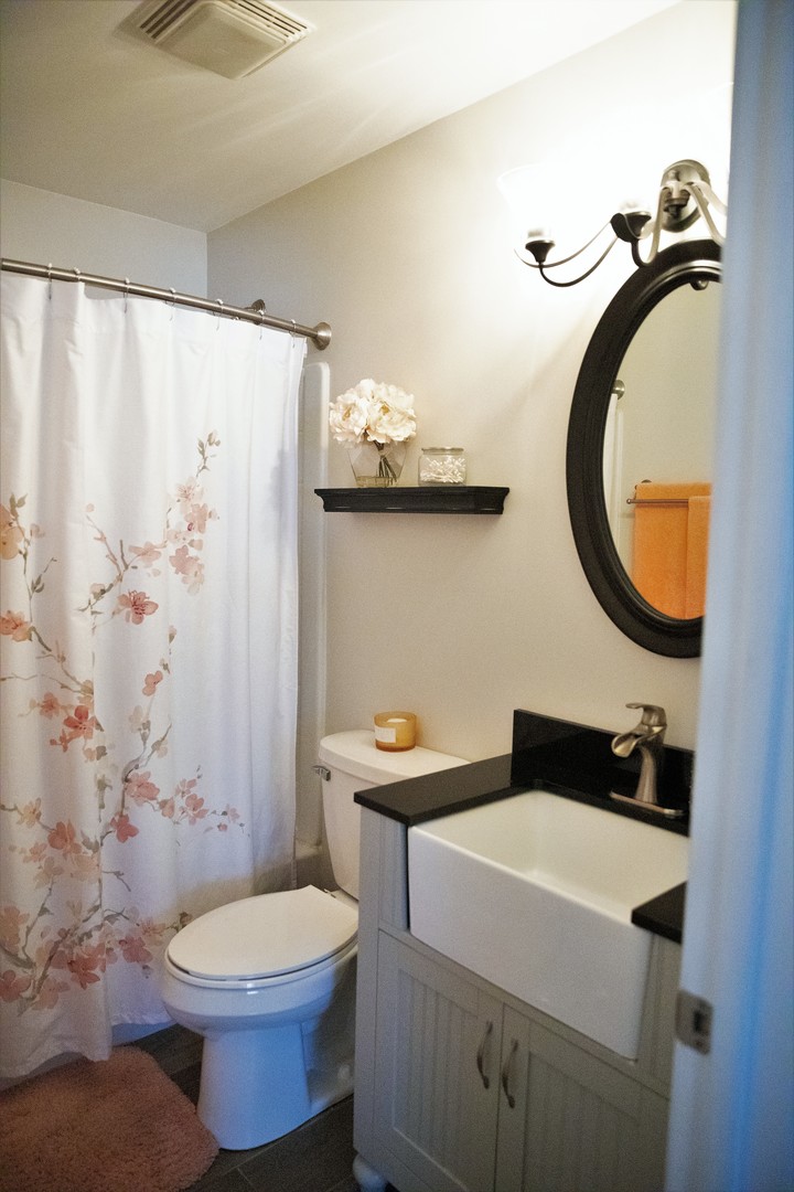 2119 Fairfield Road Lindenhurst, IL 60046 - Photo 16 of 22 a bathroom with a toilet a sink and a mirror