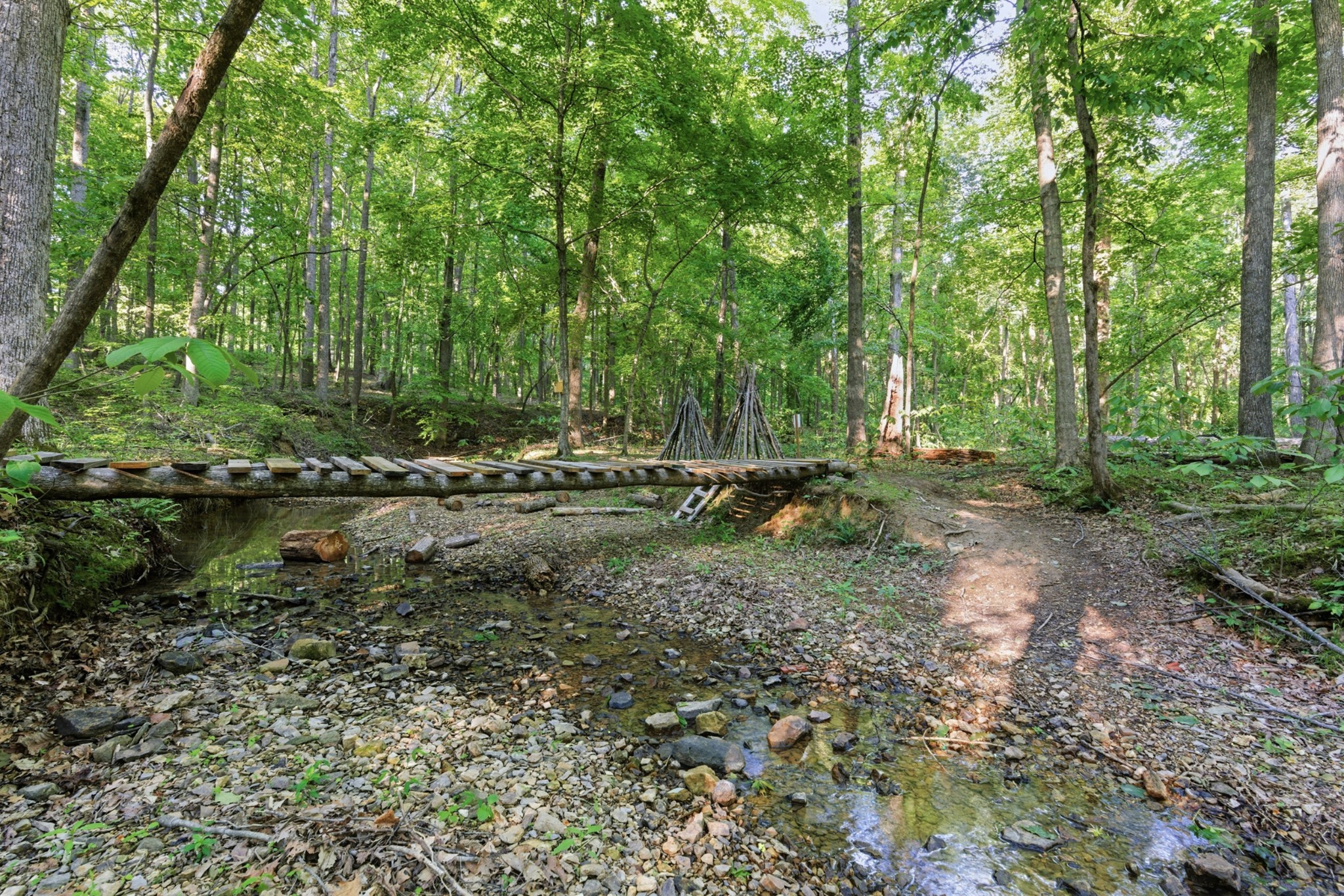 450 Paul Thompson Road Bethpage, TN 37022 - Photo 44 of 48