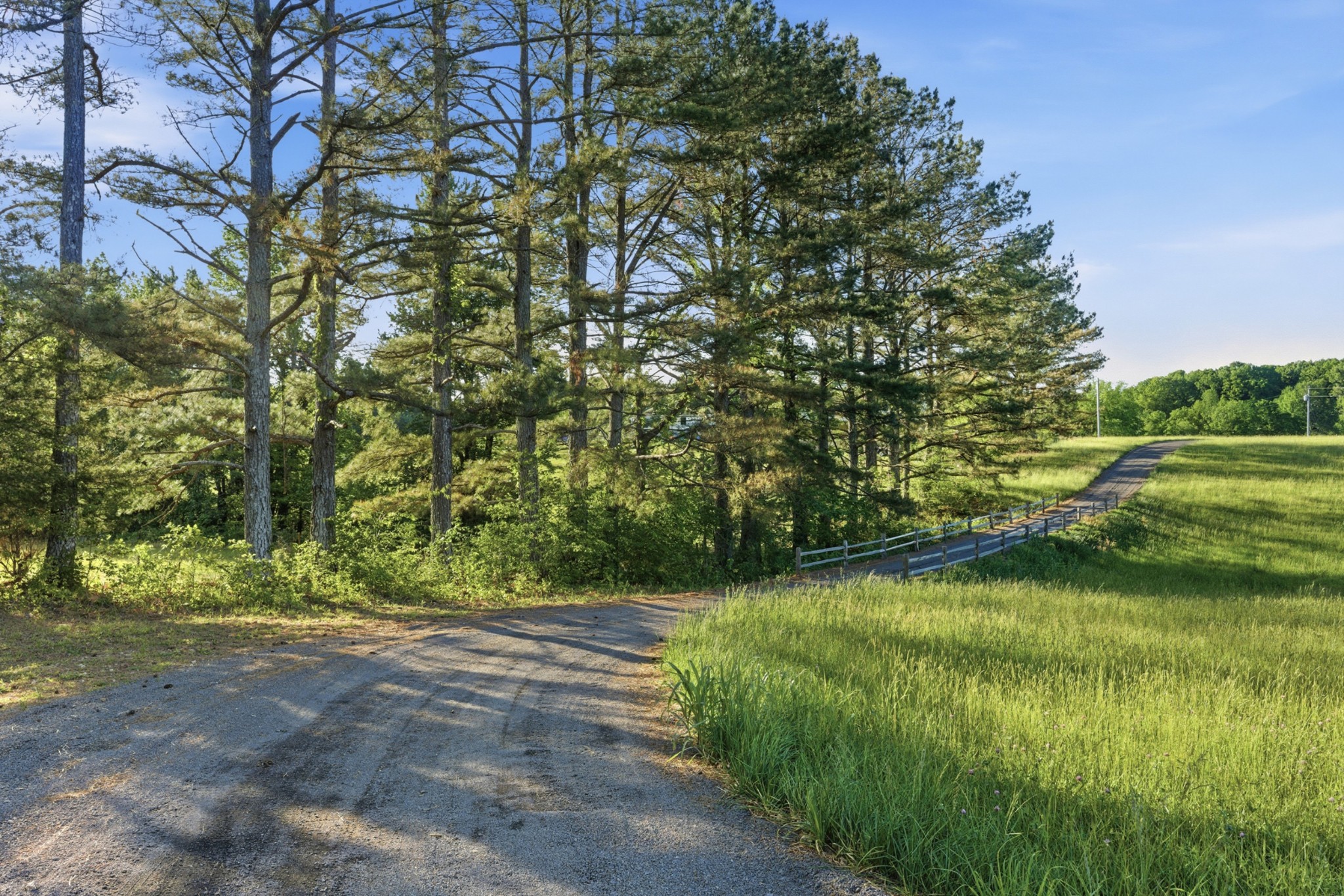 450 Paul Thompson Road Bethpage, TN 37022 - Photo 45 of 48
