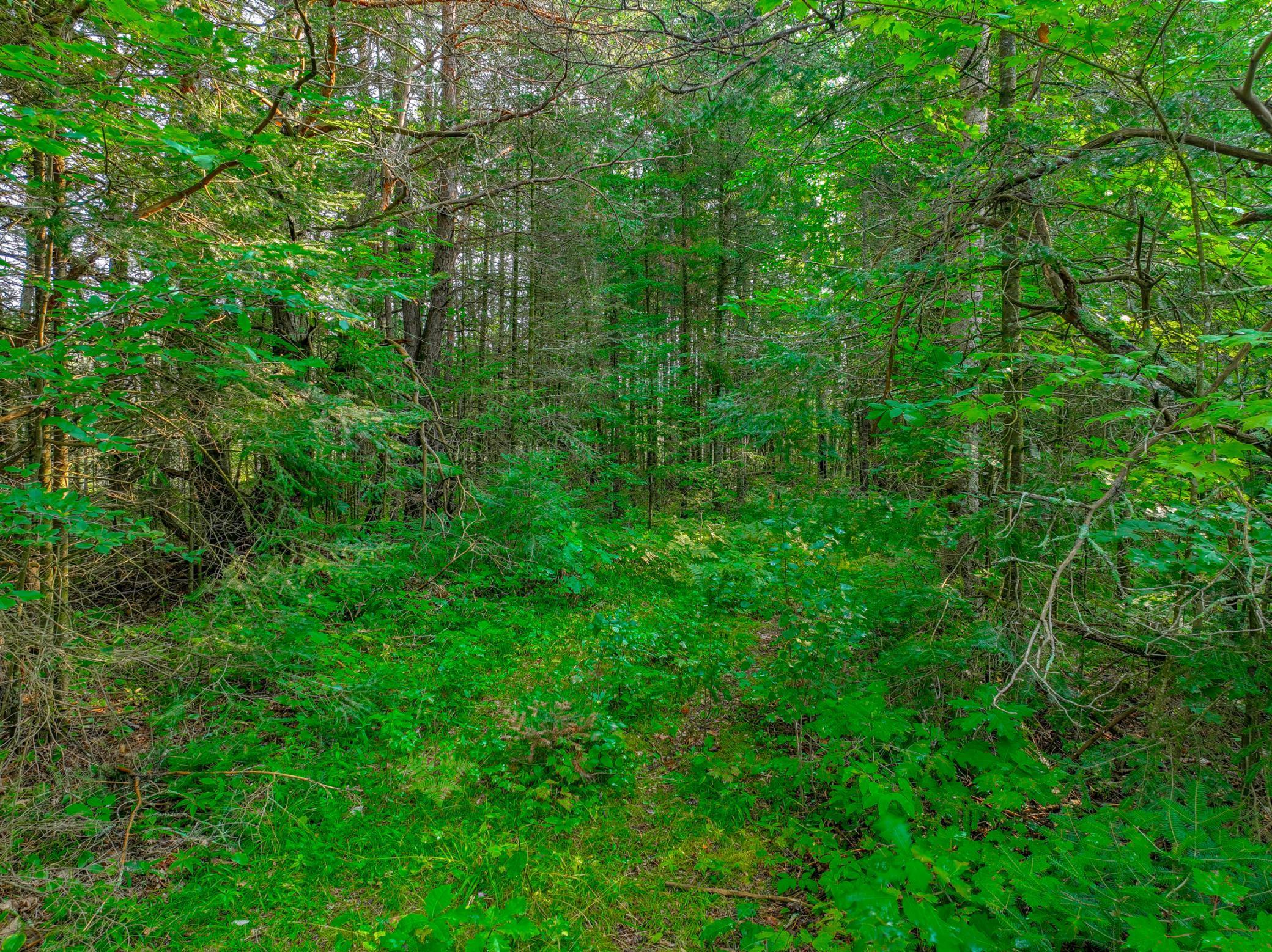 Xxxx West Moose Lake Road Hayward, WI 54843 - Photo 3 of 8