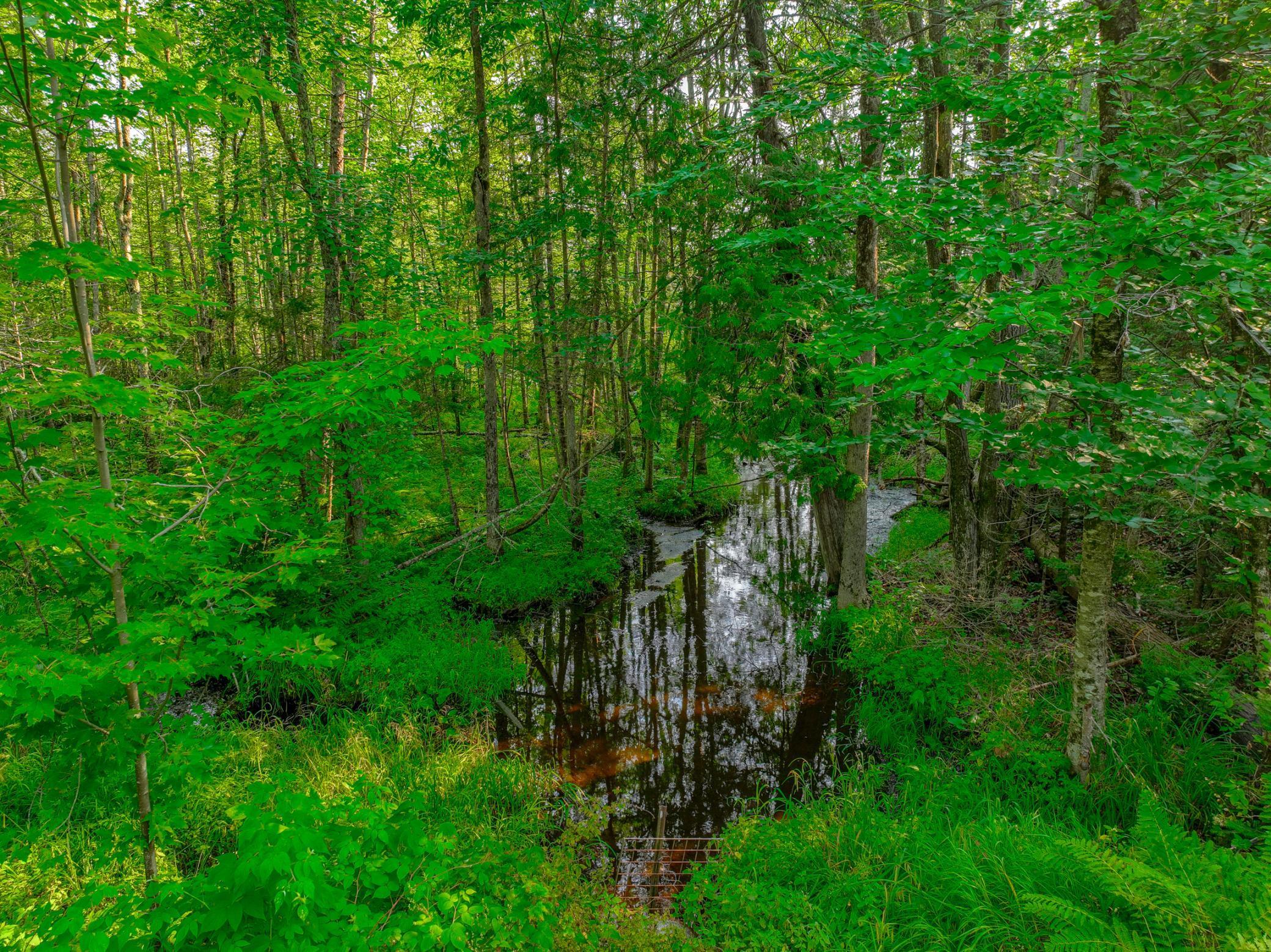 Xxxx West Moose Lake Road Hayward, WI 54843 - Photo 5 of 8