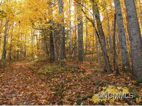 97 Bishop Cove Road Fairview, NC 28730 - Photo 14 of 24 Gallery Image 14