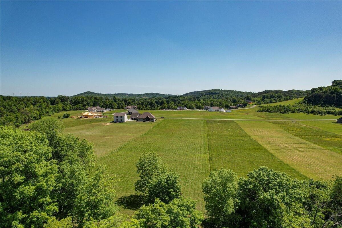 49 Espalier Drive Decatur, TN 37322 - Photo 9 of 29