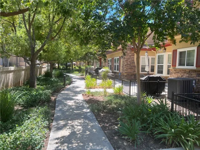 a view of a yard with plants and large trees