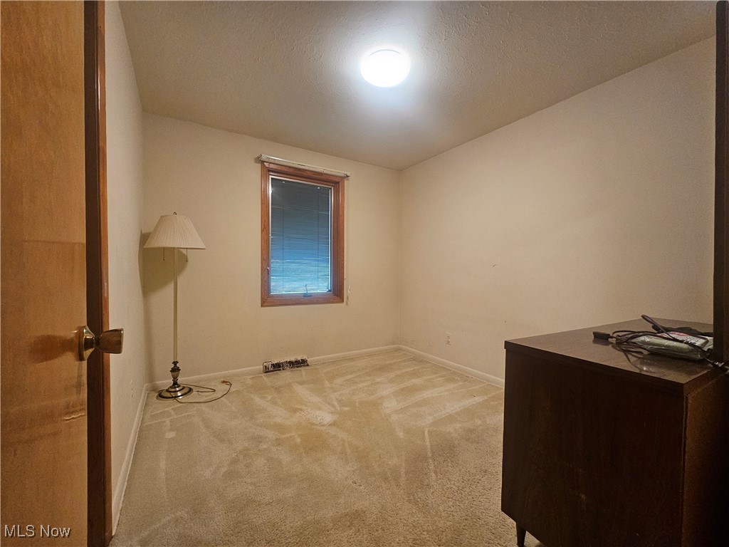 12120 Girdled Road Painesville, OH 44077 - Photo 15 of 33 Gallery Image 15