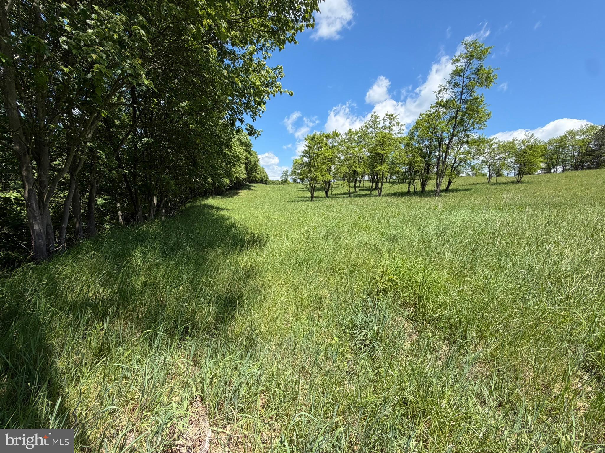 848 Sugar Camp Road Clearfield, PA 16830 - Photo 71 of 118