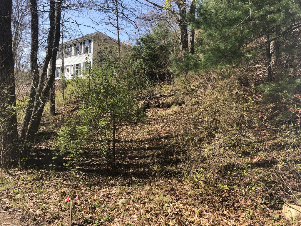 0 Brook Road Plymouth, MA 02360 - Photo 2 of 3 Gallery Image 2