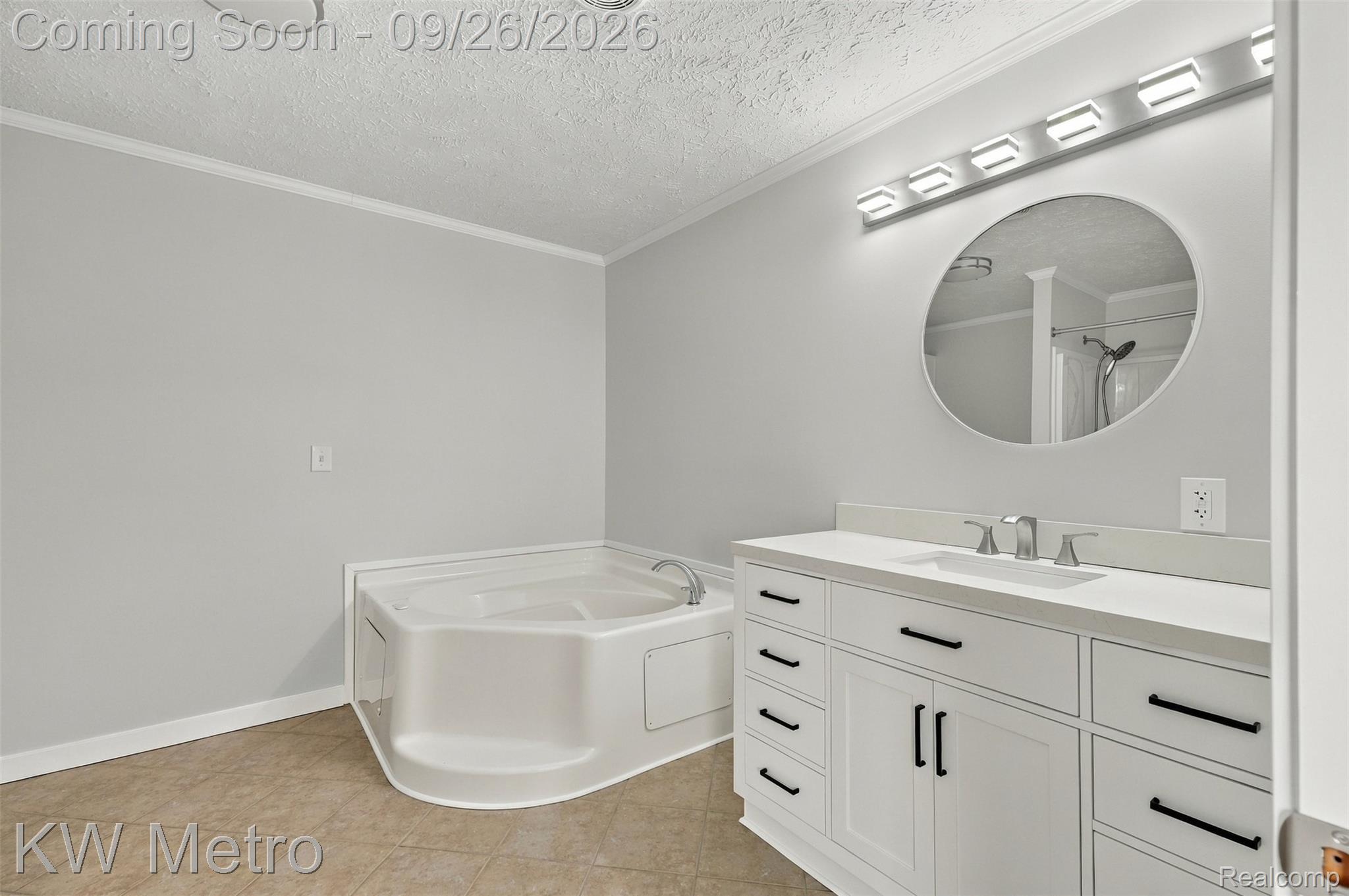 6745 Robb Road Fowlerville, MI 48836 - Photo 25 of 43 Large Primary Bath w/Jetted Tub & New Vanity