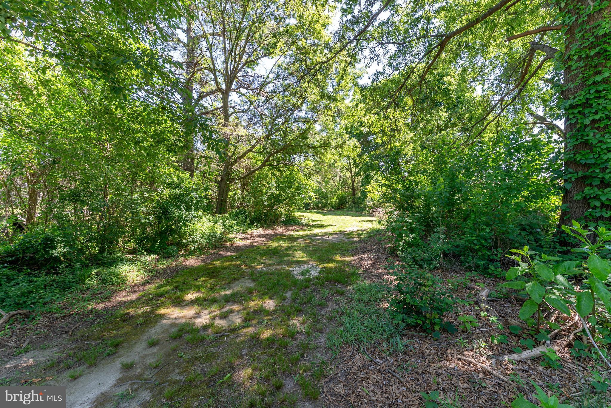 10790 Worton Road Worton, MD 21678 - Photo 46 of 47