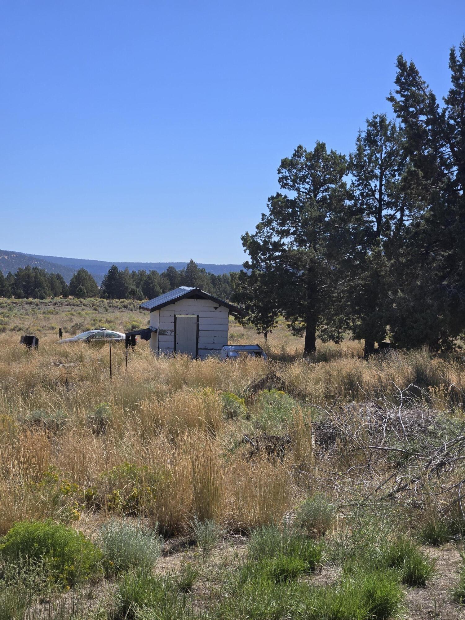3138 Sheep Mountain Road Macdoel, CA 96058 - Photo 20 of 47 Yard