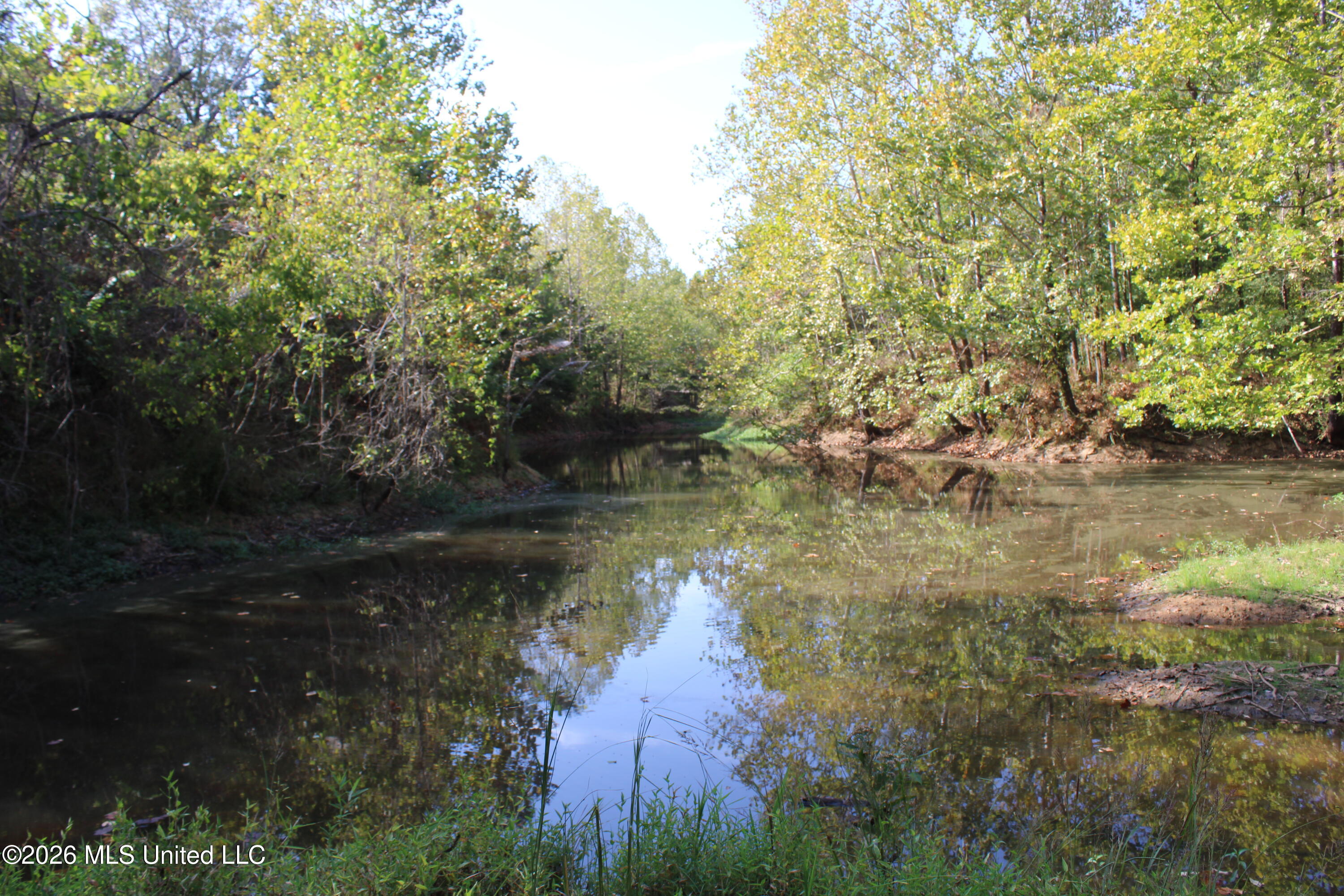 15 Tulane Road Nesbit, MS 38651 - Photo 52 of 64 IMG_8220