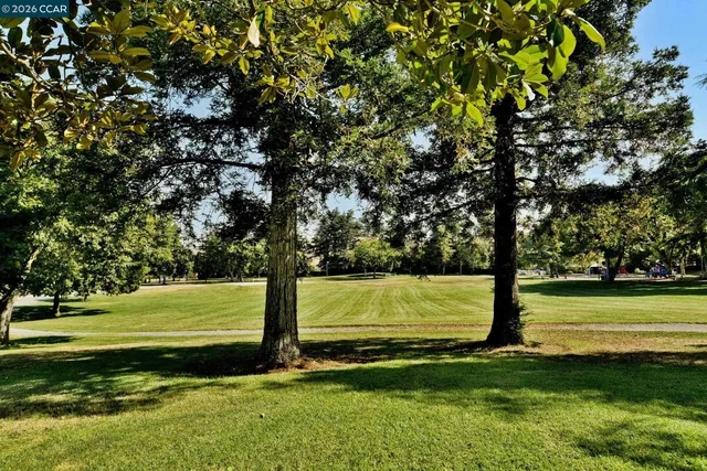 a view of a field with a trees