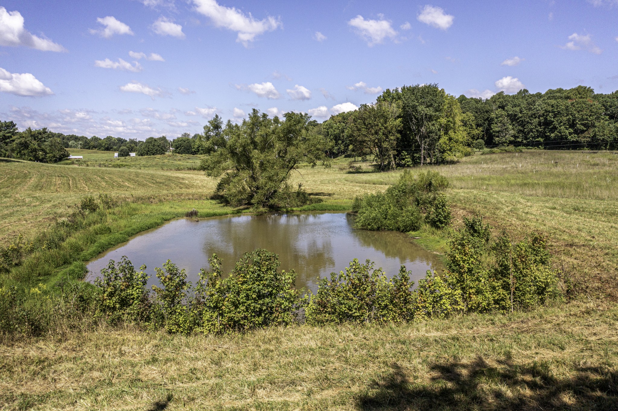 0 Porter Road Burns, TN 37029 - Photo 4 of 18 a view of a lake from a yard