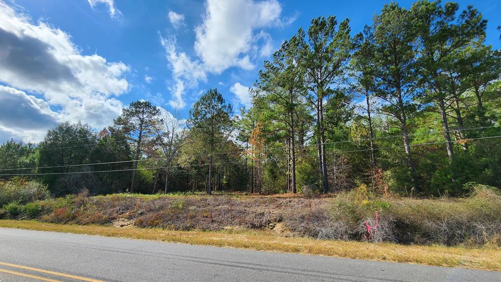 3-acres Lucy Grade Road Ashford, AL 36312 - Photo 15 of 18
