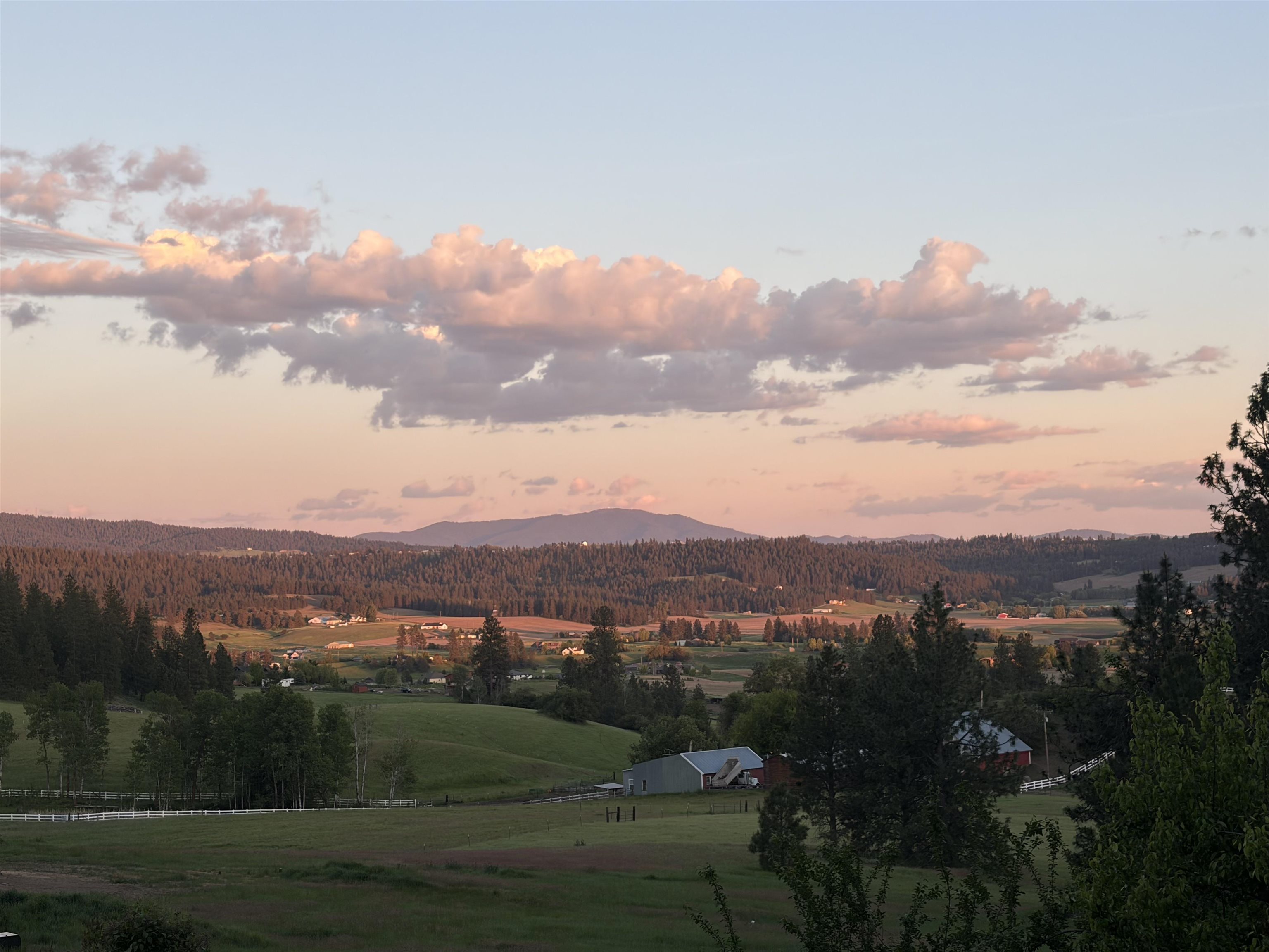 9516 East Day Road Mead, WA 99021 - Photo 14 of 50