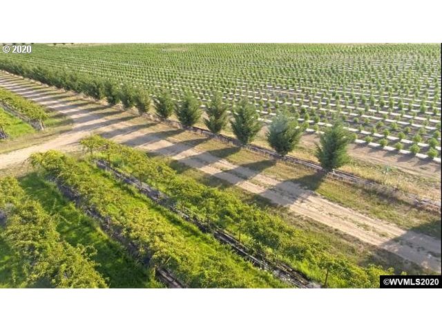 2201 Fort McKay Road Oakland, OR 97462 - Photo 9 of 30 Gallery Image 9