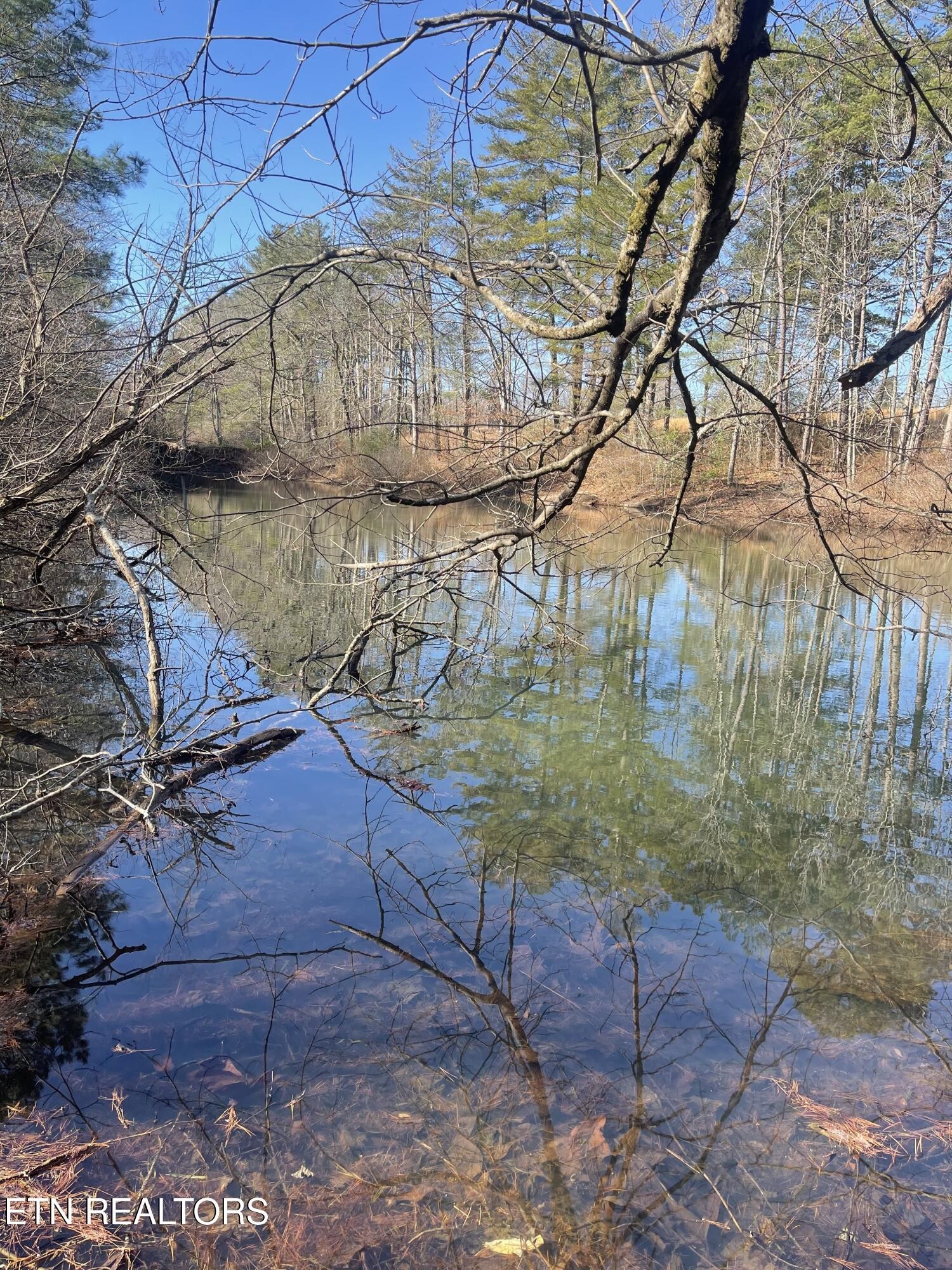 233 Morgan Road Crossville, TN 38555 - Photo 57 of 57