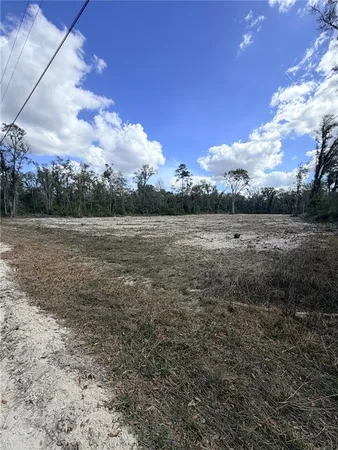 $65,000 | 163 Northeast 159th Avenue, Old Town, FL 32680