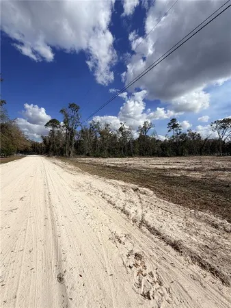 $65,000 | 163 Northeast 159th Avenue, Old Town, FL 32680