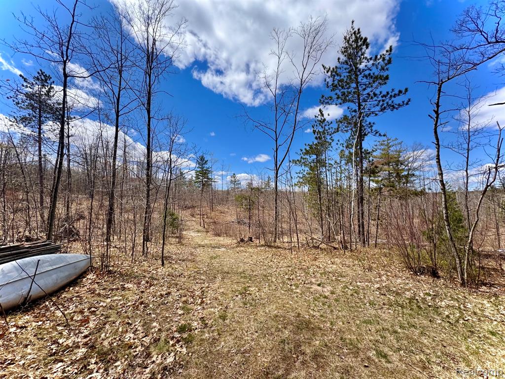 10931 North Roberts Road Frederic, MI 49733 - Photo 28 of 33