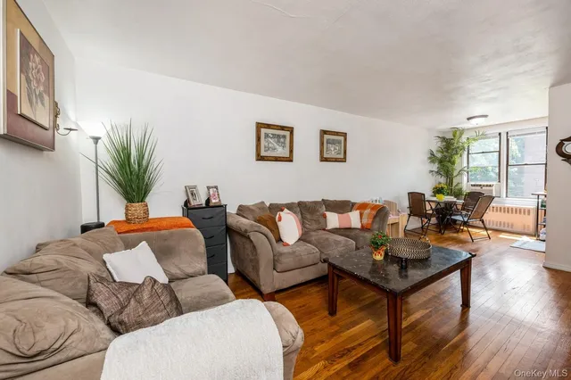 a living room with furniture wooden floor and a potted plant