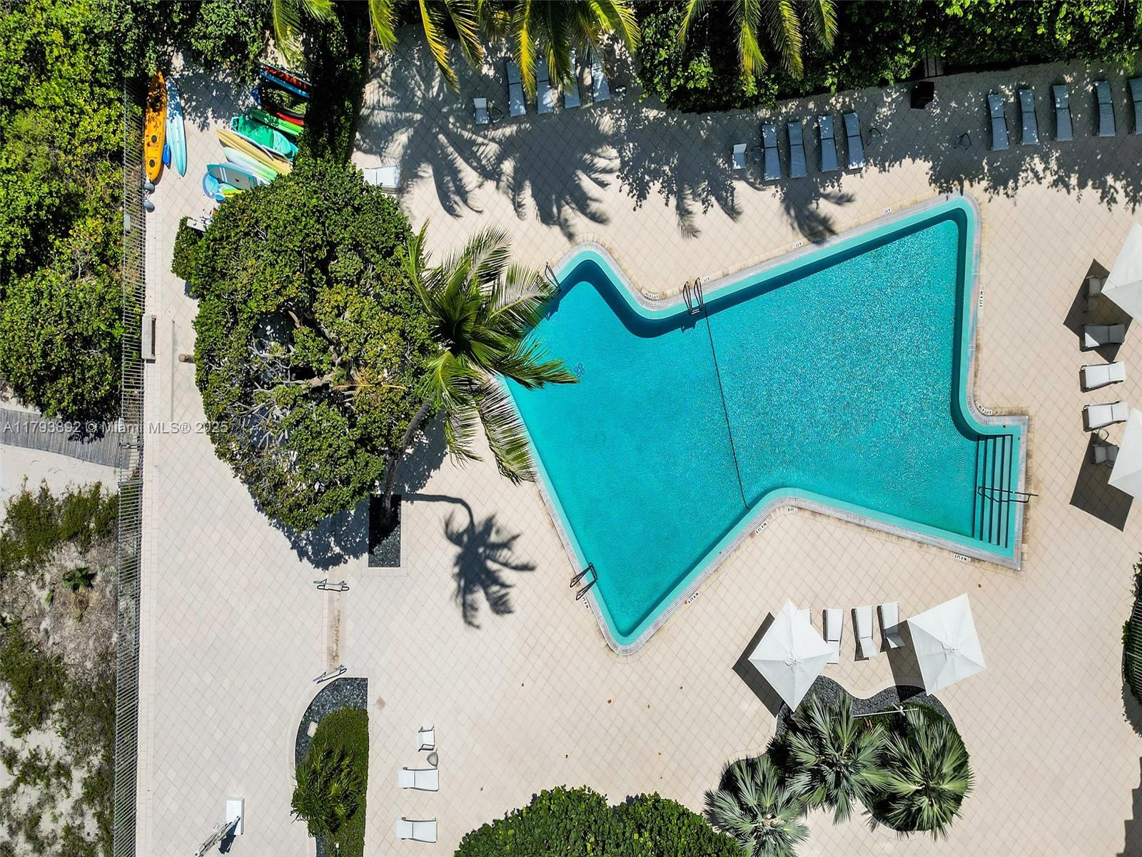 200 Ocean Ln Drive, Unit 803 Key Biscayne, FL 33149 - Photo 3 of 21 a picture of a tree with front of a yard