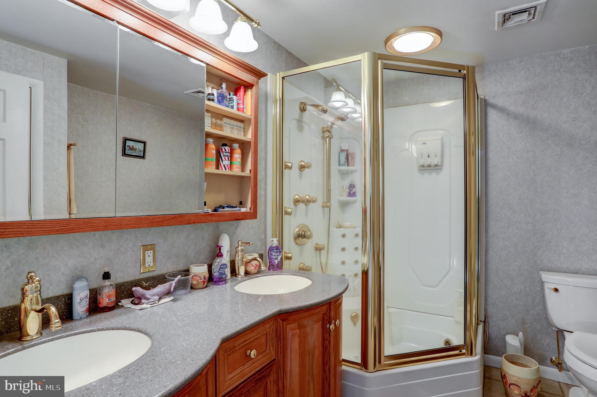 2363 Sunnyside Road Manheim, PA 17545 - Photo 29 of 39 Owners bath