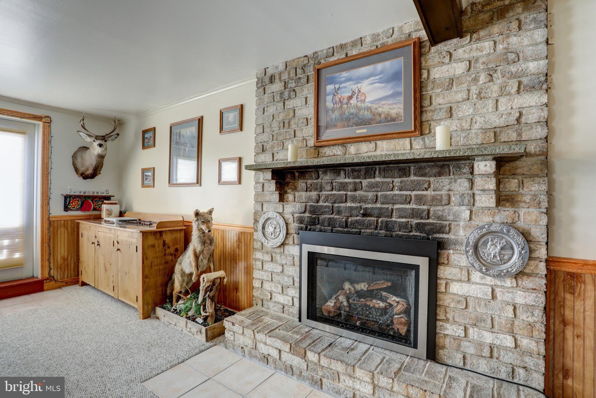 2363 Sunnyside Road Manheim, PA 17545 - Photo 39 of 39 New High end gas FP and timeless brick hearth