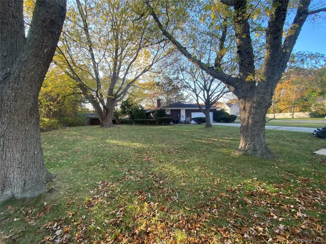 a view of a yard with a tree