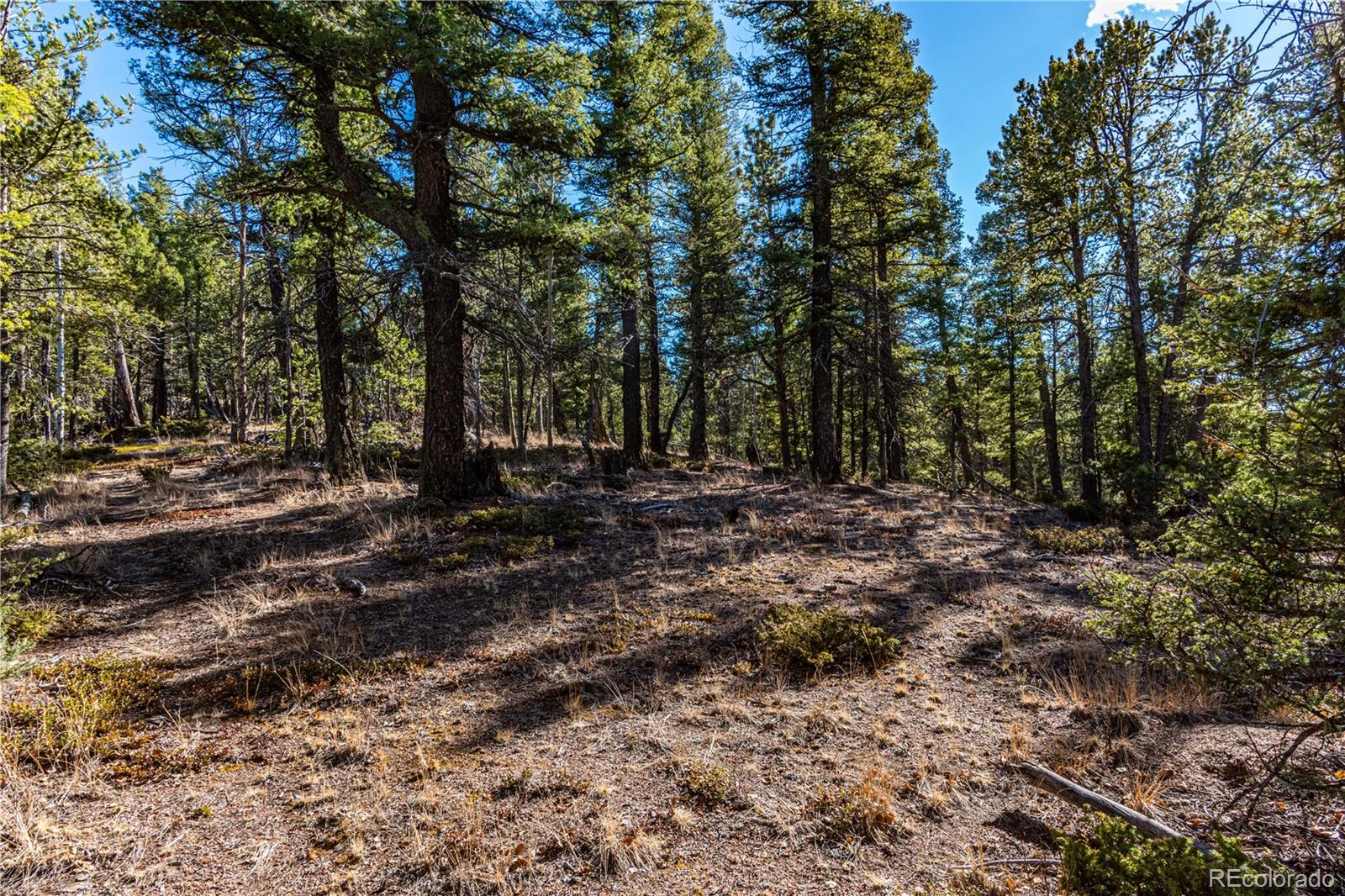 0 Arrowhead Road Florissant, CO 80816 - Photo 29 of 50 Gallery Image 29