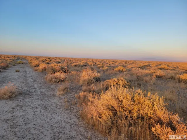 an aerial view of house with yard and mountain in the back
