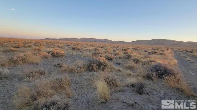 an aerial view of mountain with trees
