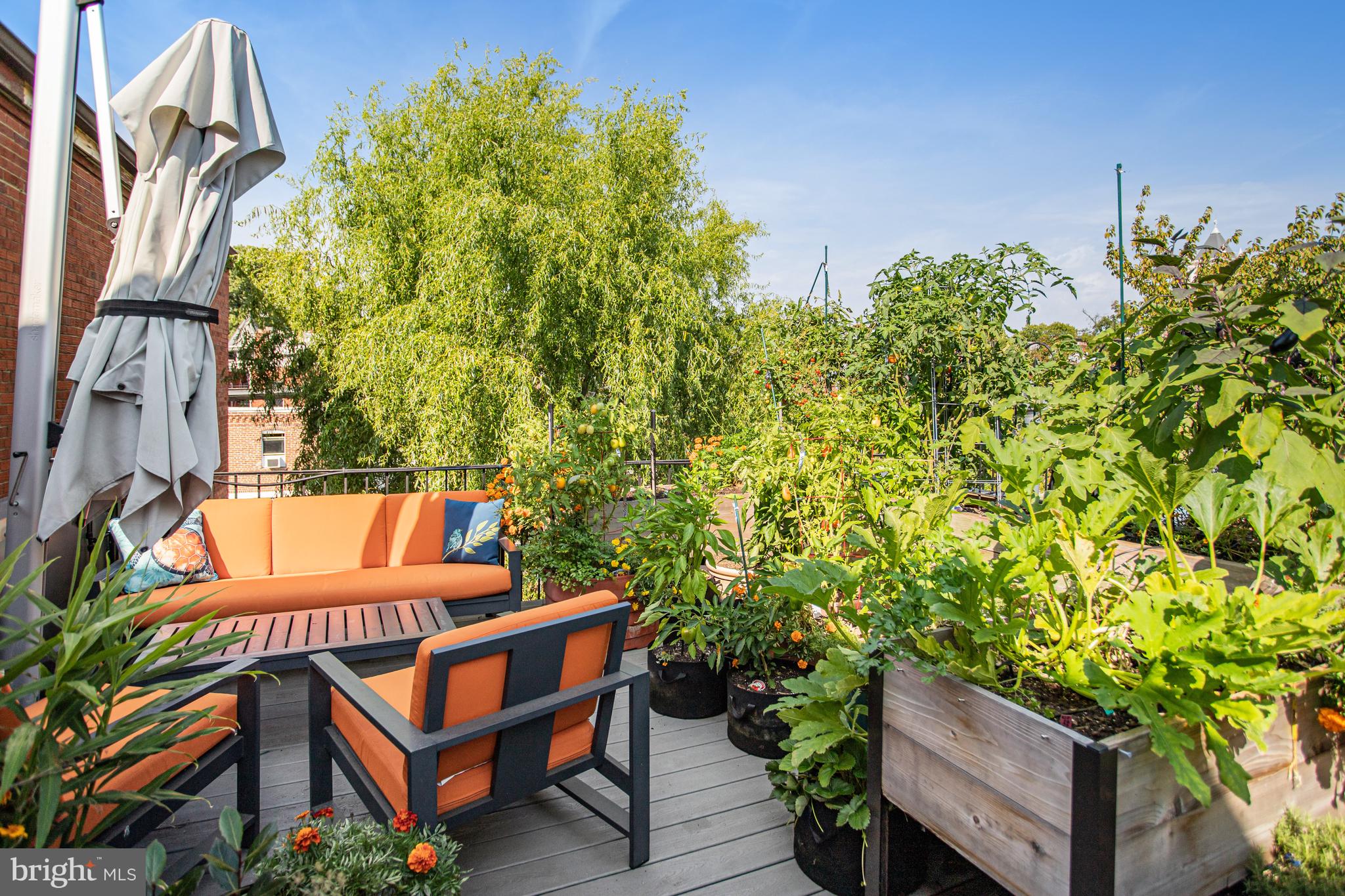 213 9th Street Southeast Washington, DC 20003 - Photo 59 of 74