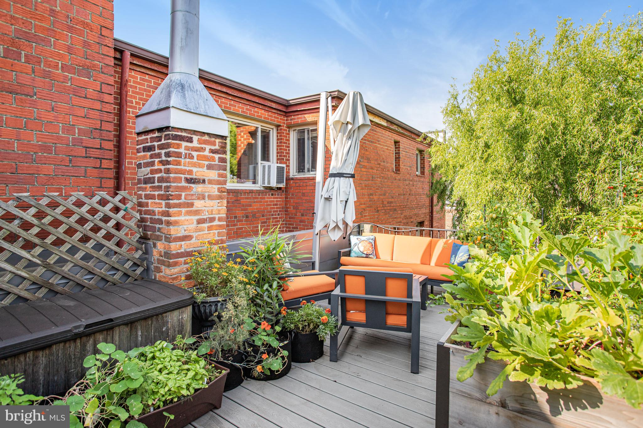 213 9th Street Southeast Washington, DC 20003 - Photo 60 of 74