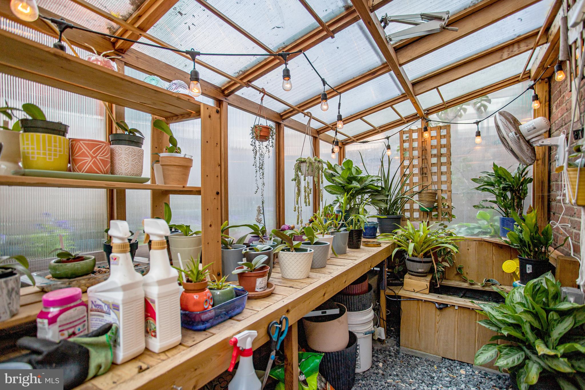 213 9th Street Southeast Washington, DC 20003 - Photo 66 of 74