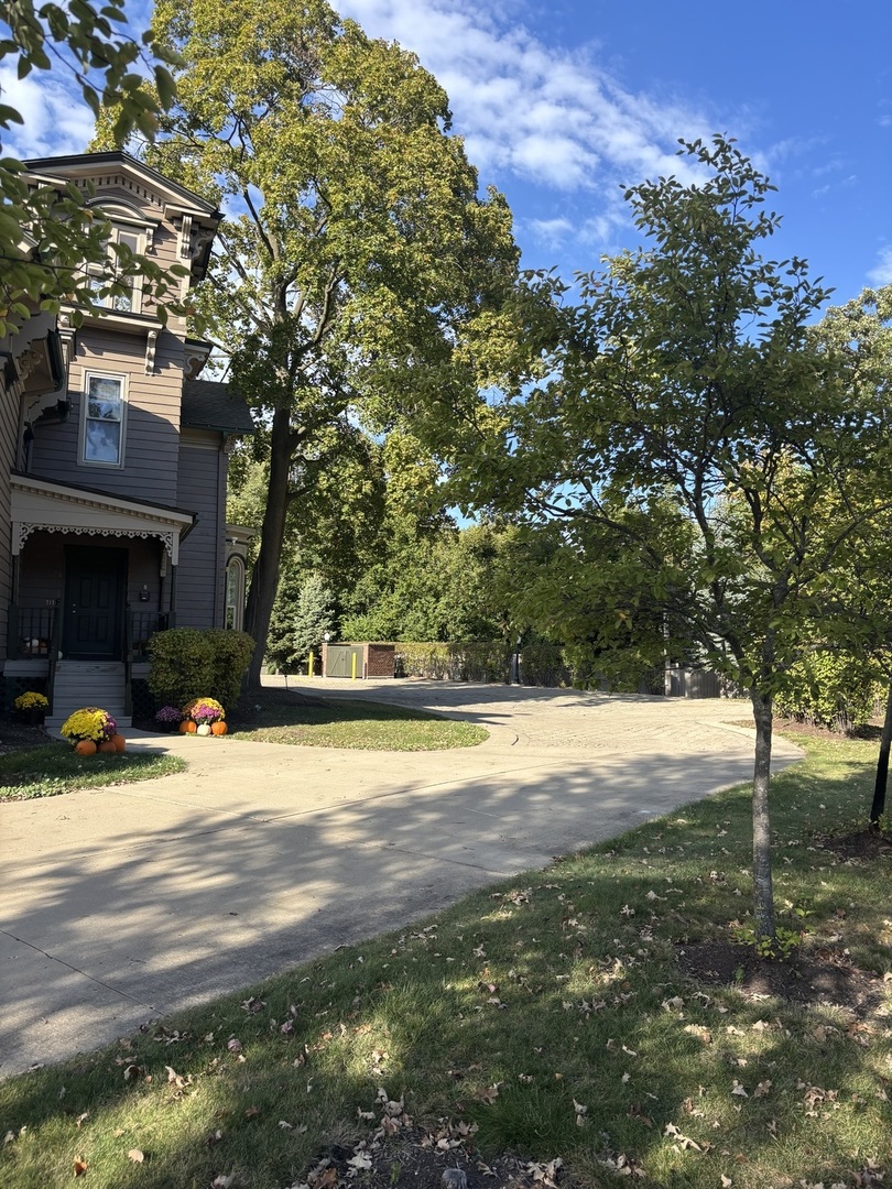40 Mischa Court, Unit 100 Lake Zurich, IL 60047 - Photo 35 of 36 a view of road with large trees
