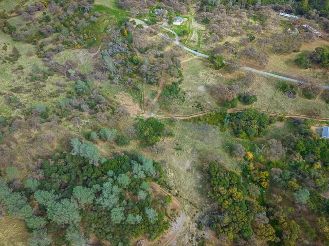 a view of a field with an ocean
