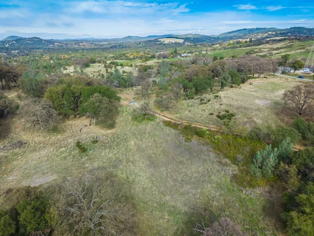 a view of a park with large trees