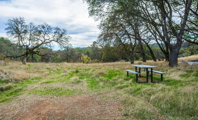 a view of outdoor space with trees all around