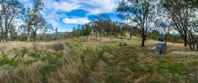 a backyard of a house with large trees and wooden fence