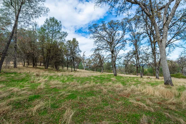 a view of dirt yard with trees