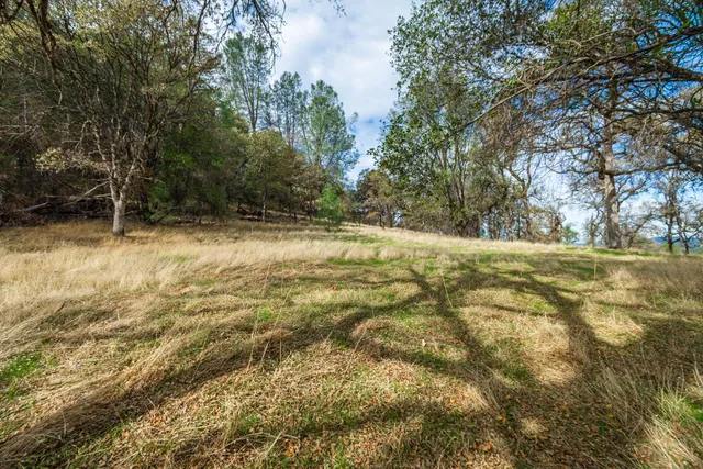 a view of a park with of trees