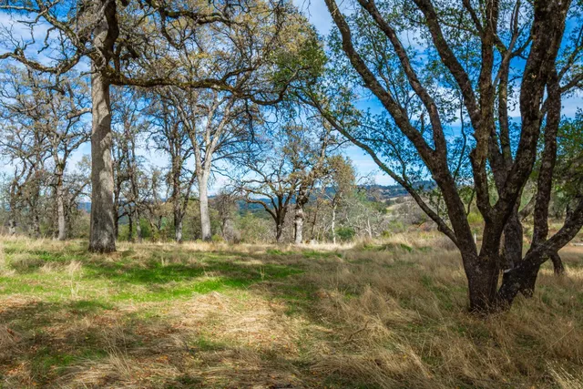 a view of an outdoor space and yard