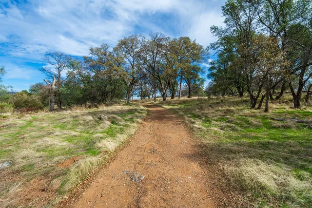 a view of a yard with an trees