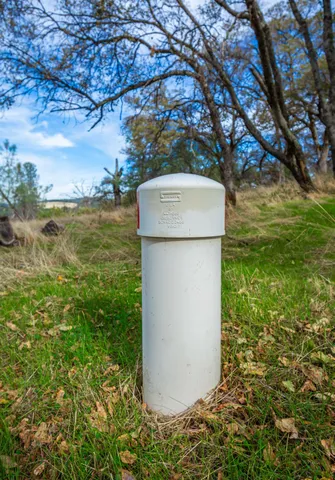 a view of yard with trees