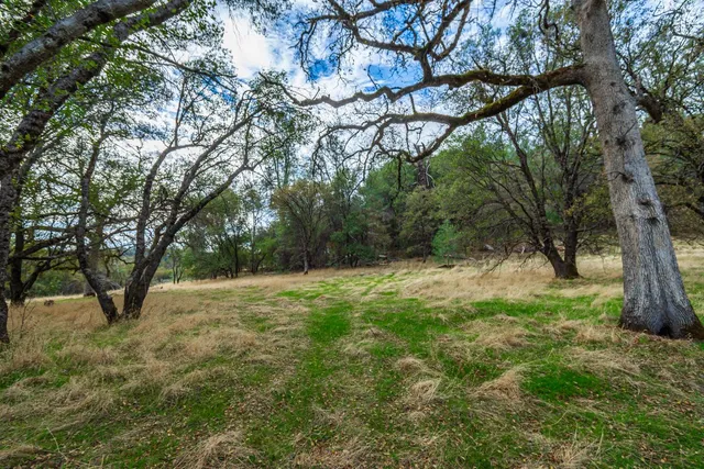 a view of outdoor space with trees all around