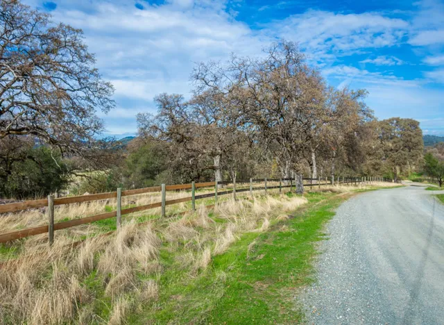 a view of a field with trees