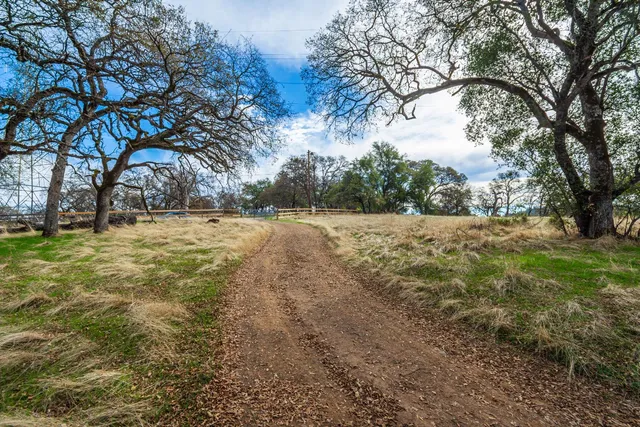 a view of empty space with trees