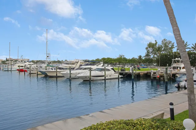 a view of a lake with boats and trees in the background